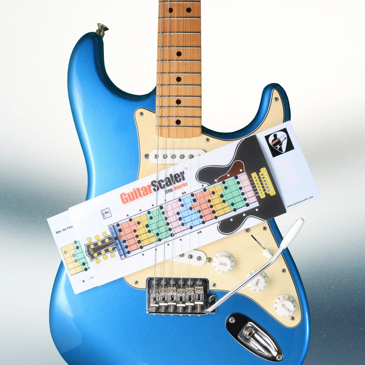 Description de l image