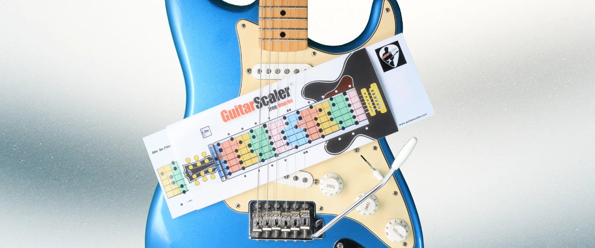 Description de l image