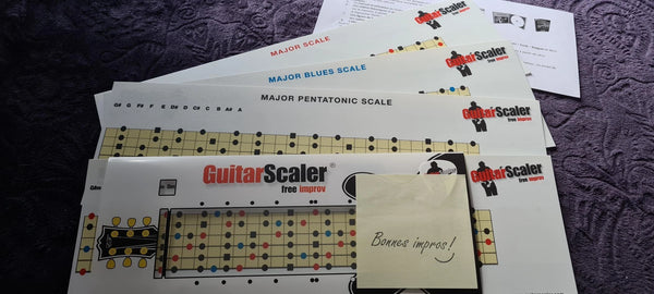 Photo avis du client Didier présent sur Amazon sur notre produit GuitarScaler